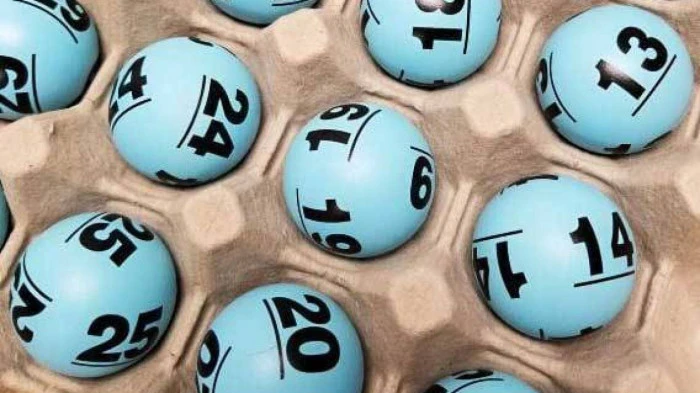 Trực Tiếp Đá Gà Thomo: Mọi Điều Bạn Cần Biết